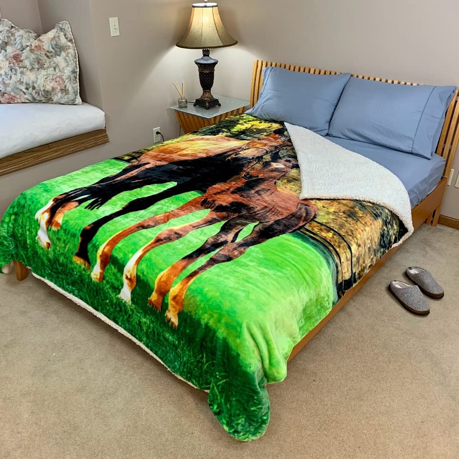 Sacred Thread Sherpa Fleece Blanket, Super Fuzzy, Soft and Cozy Queen Blanket, Plush Throw Blanket for Sofa, Couch and Bed, Reversible Winter Blanket, 25+ Designs Available