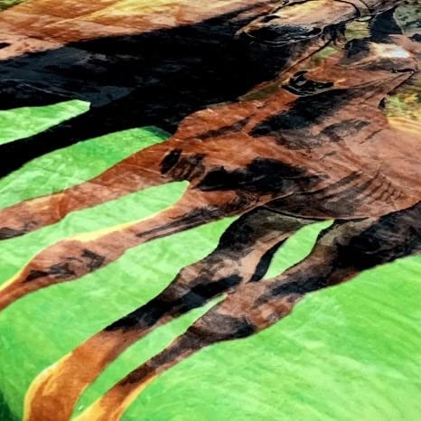 Sacred Thread Sherpa Fleece Blanket, Super Fuzzy, Soft and Cozy Queen Blanket, Plush Throw Blanket for Sofa, Couch and Bed, Reversible Winter Blanket, 25+ Designs Available