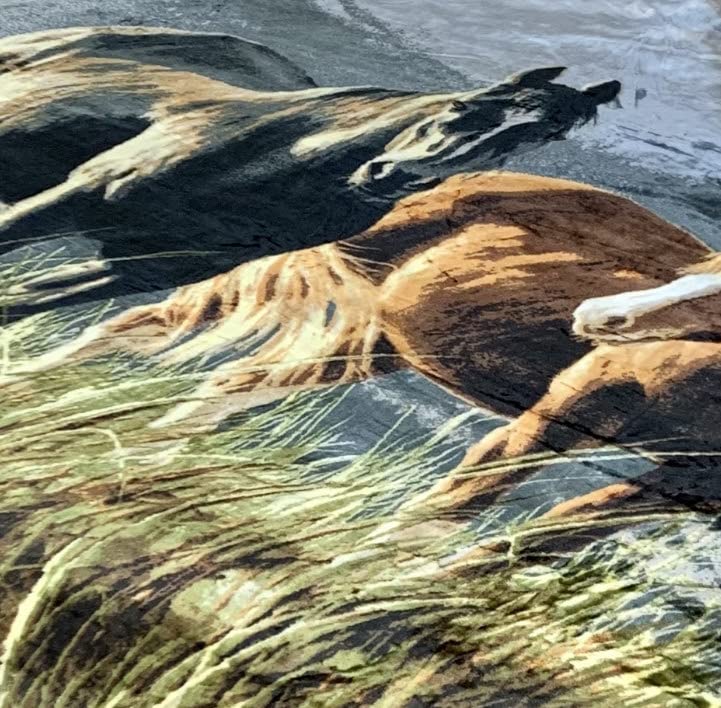 Sacred Thread Sherpa Fleece Blanket, Super Fuzzy, Soft and Cozy Queen Blanket, Plush Throw Blanket for Sofa, Couch and Bed, Reversible Winter Blanket, 25+ Designs Available